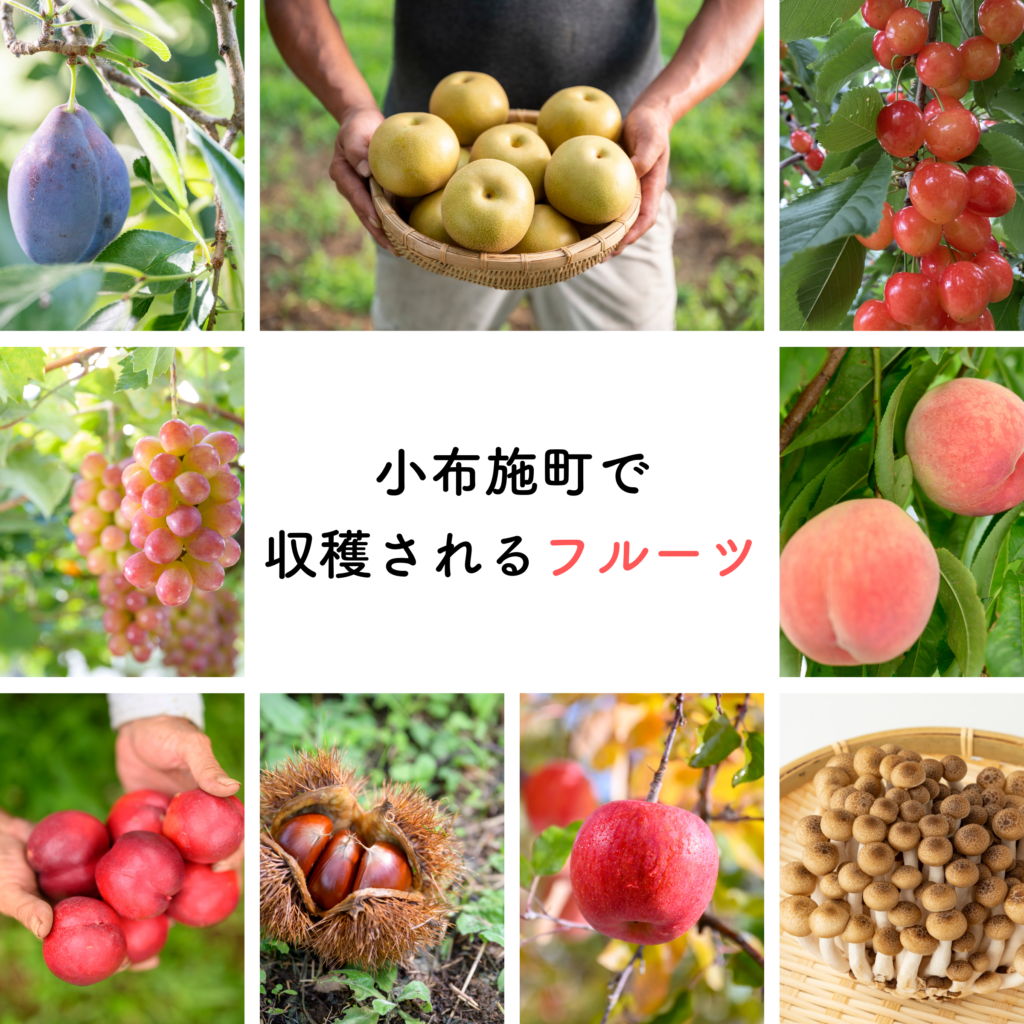 小布施で収穫されるフルーツ