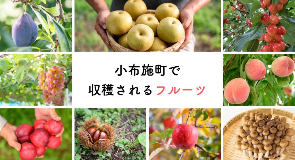 小布施で収穫されるフルーツ